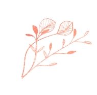 demo-attachment-248-flower-title-6